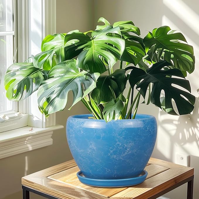 10 Inch Planter Pot - Ceramic Pots for Plants with Drainage Hole and Saucer, Round Large Flower Pot for Indoor Plants, Blue-VerdiqueGarden