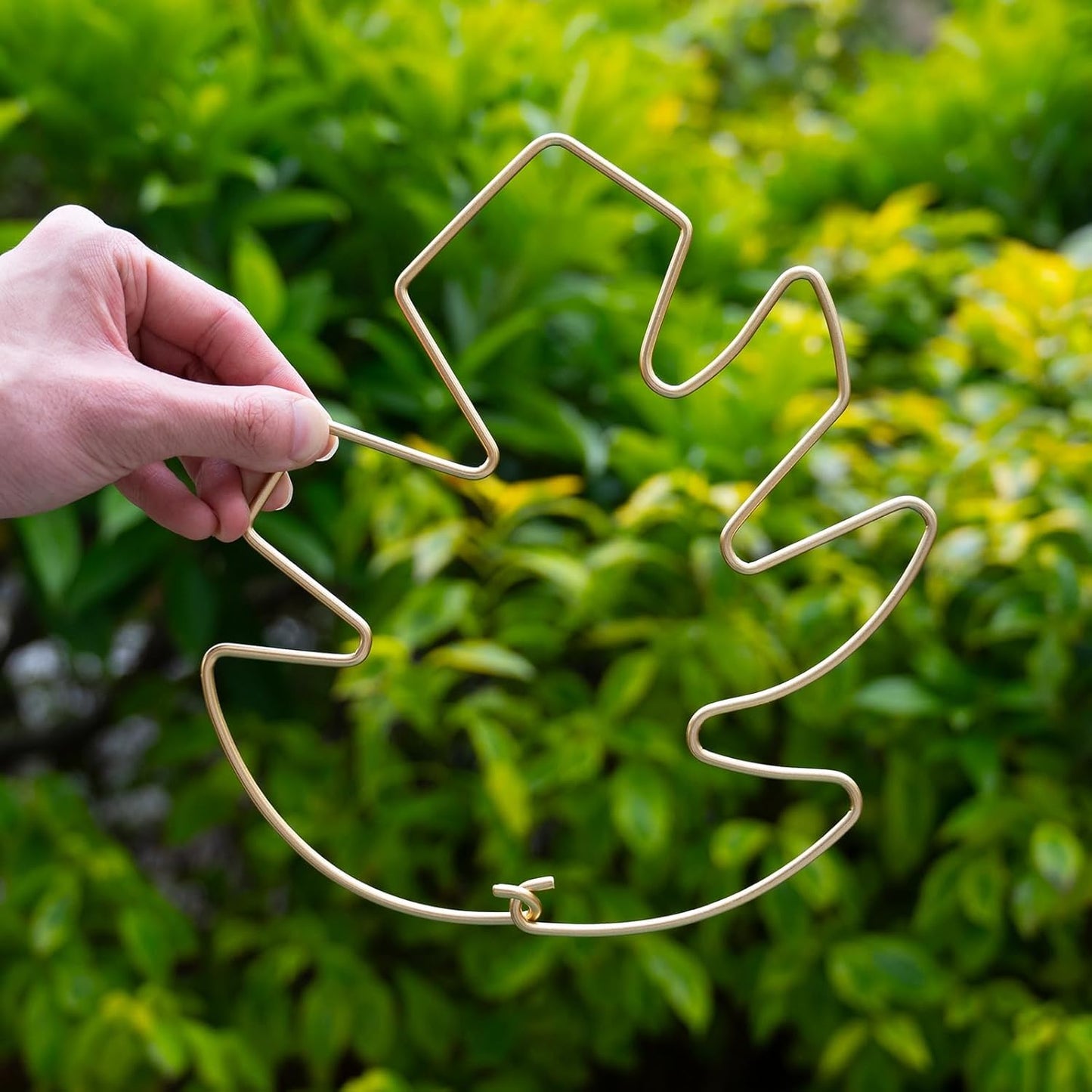 5PCS Monstera Plant Stem Support with Leaf Holders - Innovative Cactus Stake for Indoor Plants - Unique Plant Support Kit for Healthy Growth - Ideal for Gardening Enthusiasts-VerdiqueGarden