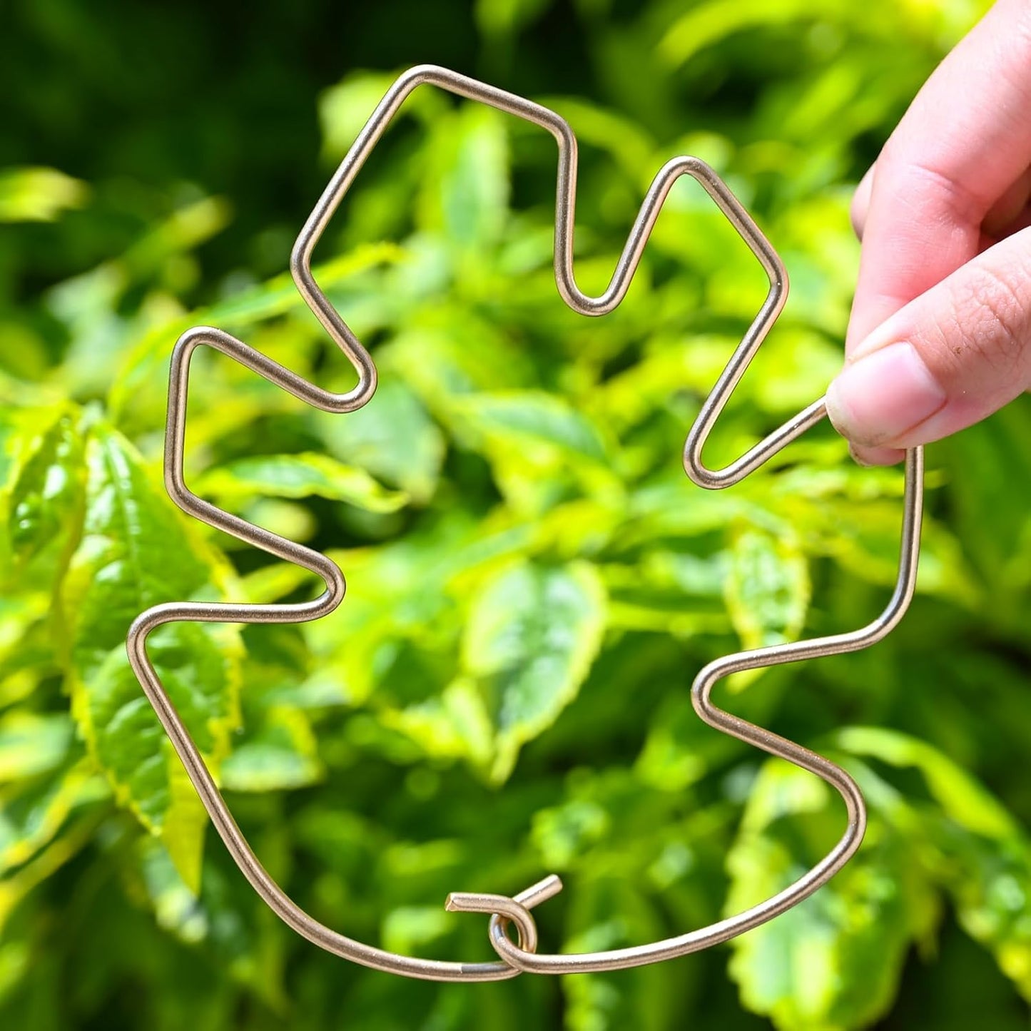 5.5 * 4.7IN Monstera Stem Support Stake with Clips - 5Pcs Durable Climbing Plant Support for Monstera, Fishbone Cactus, Easy Installation, for Plant Lovers-VerdiqueGarden