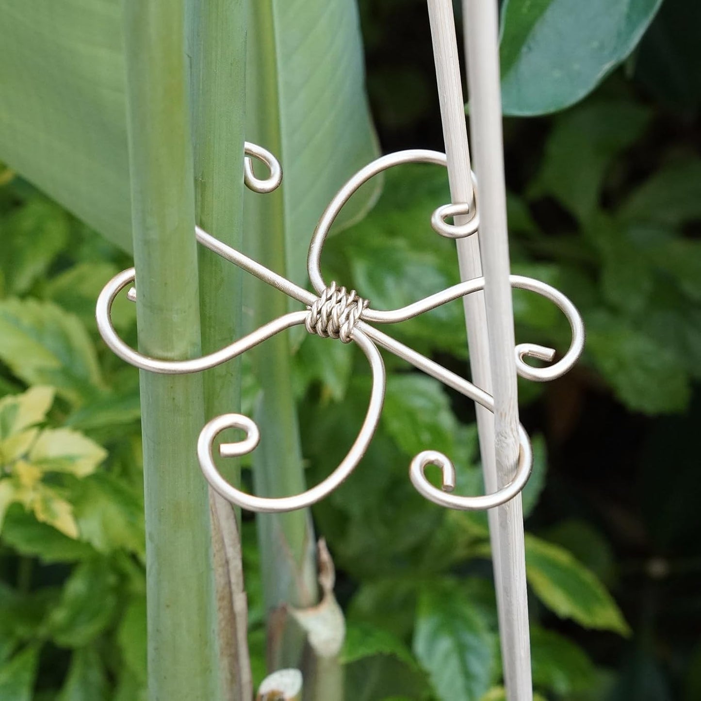 5PCS Monstera Plant Support System 4.1IN - Durable Hook Stem Supports for Healthy Growth, Stabilizer for Leaves and Turtle Shells, Easy-to-Use Indoor Plant Care, Ideal Present for Plant Lovers-VerdiqueGarden