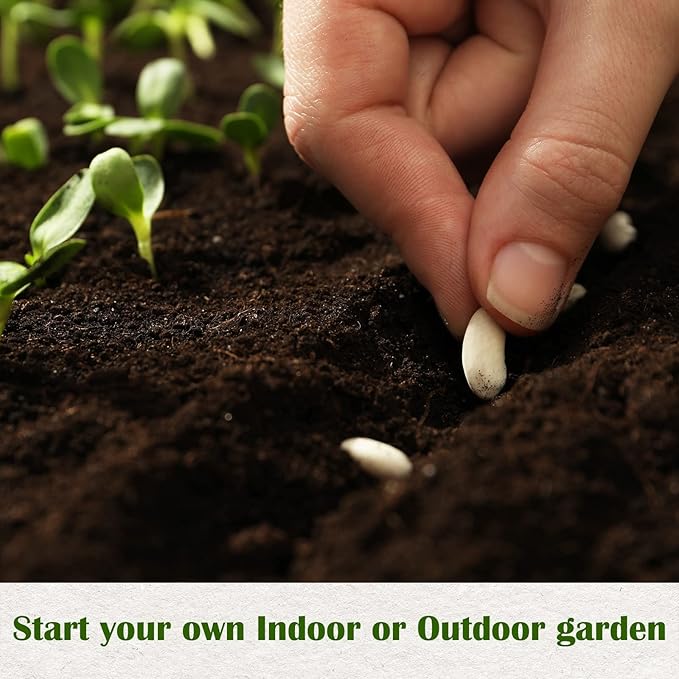 10 Kit Non-GMO Growing into Thyme, Lavender, Chamomile, Dill, Chives, Cilantro, Rosemary, Basil, Parsley, Sage Indoor/Outdoor for Kitchen Windowsill Gardening Gift-VerdiqueGarden