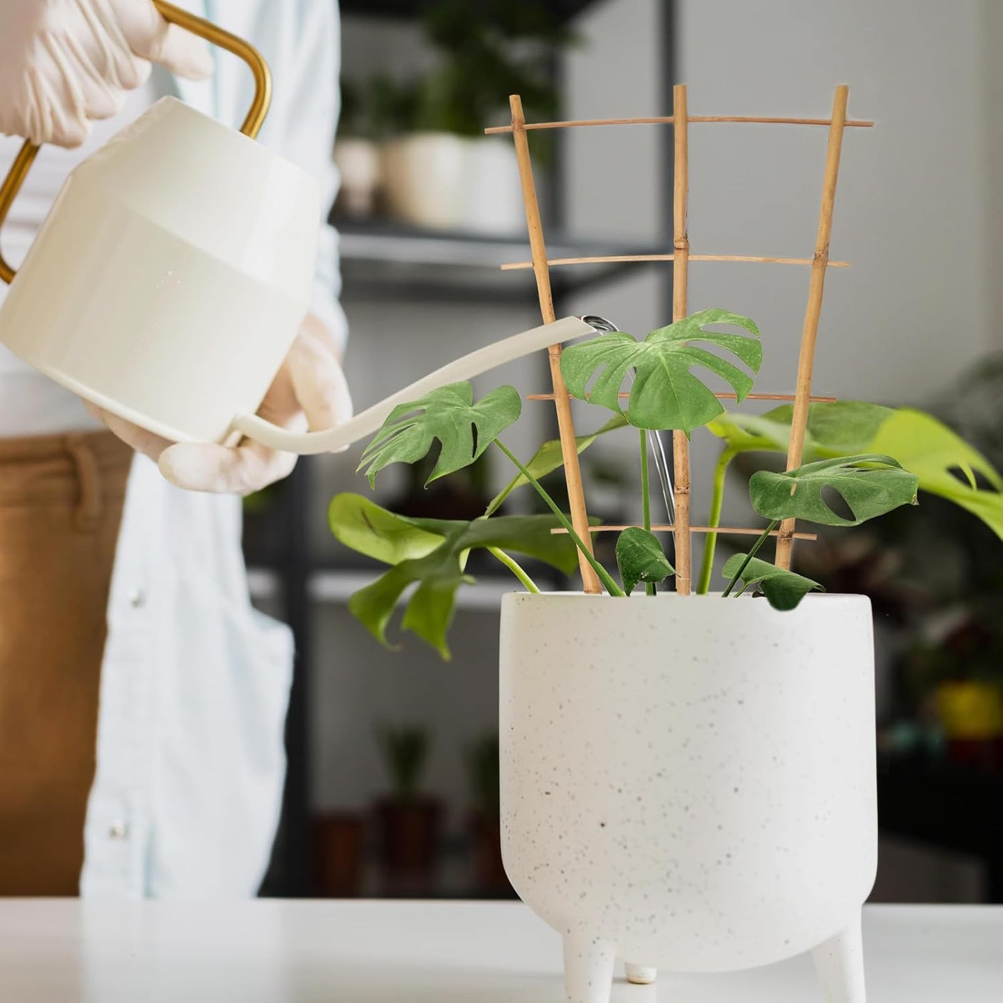 Plant Trellis Indoor 6 Pack Bamboo Trellis with Twist Ties, 16in Fan-Shaped Plant Trellises for Potted Plants Hoya Vines Monstera Houseplants-VerdiqueGarden