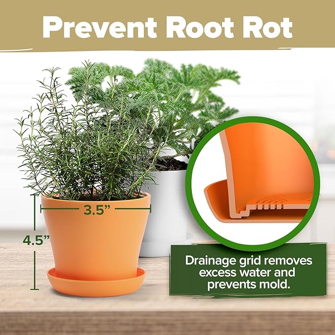 HOME GROWN π£π₯ππ ππ¨π πππ₯π πππ§ 8 Herb Seeds Garden Kit, Complete Indoor Planter Gift with Basil Cilantro Mint & More, Unique Kitchen Growing Set for Women Men, Birthday Housewarming Present-VerdiqueGarden