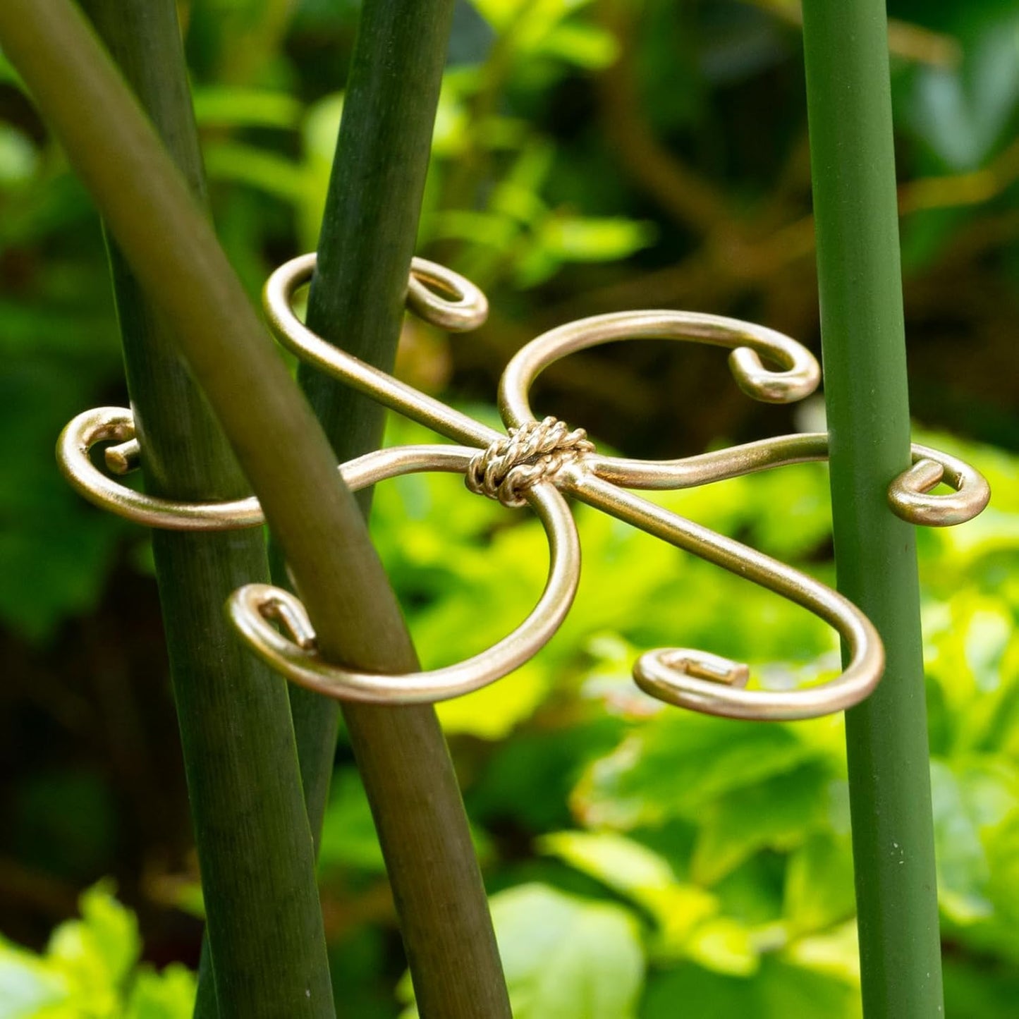 5Pcs Monstera Plant Stem Support Hook (2.75x2.75 inches) - Durable Metal Stem Support for Monstera & Fishbone Cactus, Easy Installation, Ideal Gift for Plant Lovers & Home Decor-VerdiqueGarden