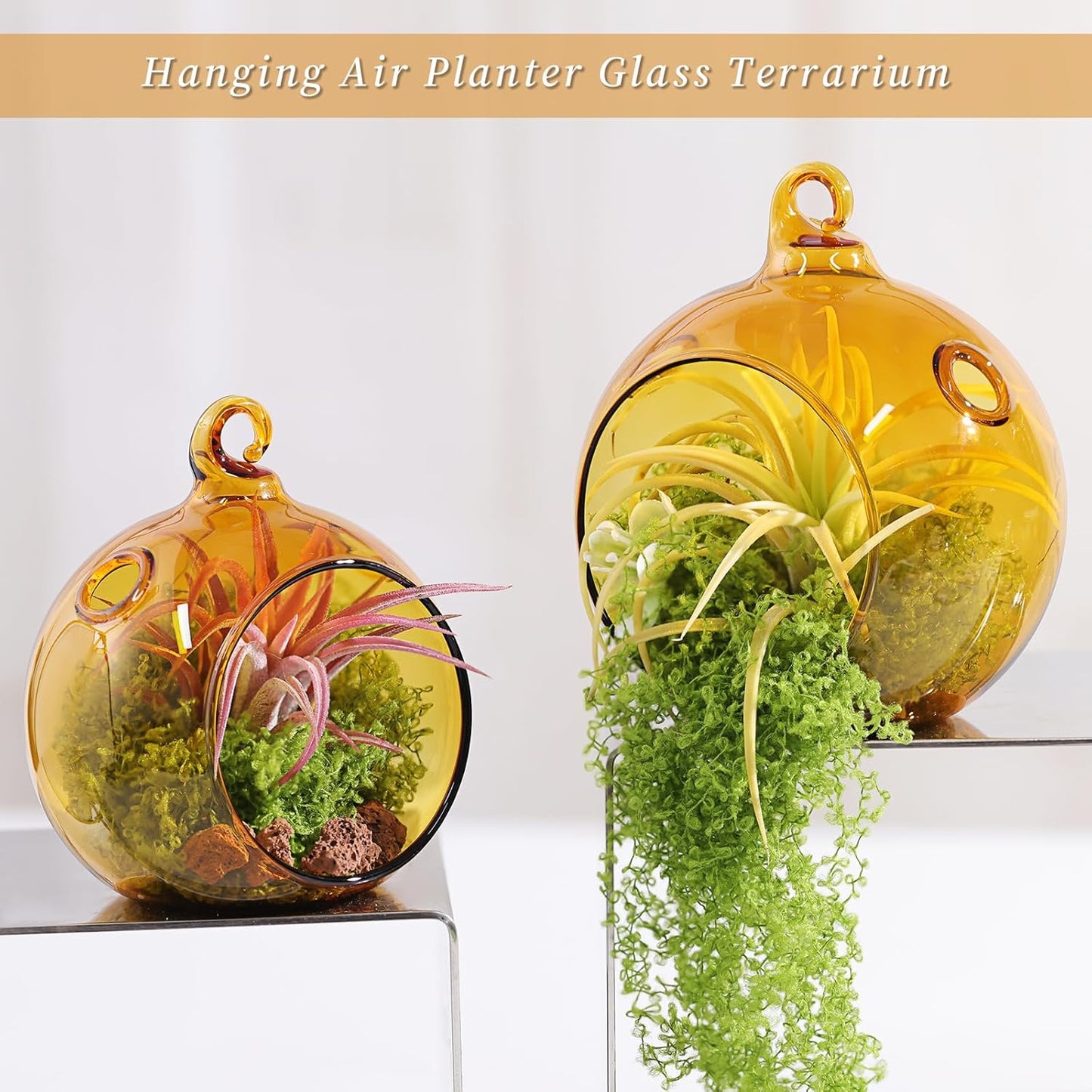 LETINE Assorted Amber Glass Orb Set (12pcs) with 2.17" & 1.93" Spheres - Versatile Tea Light Candle Holders & Air Plant Holders for Boho Wedding Decor-VerdiqueGarden