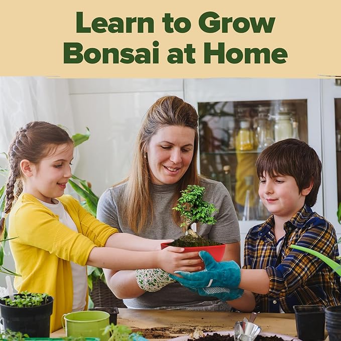 Bonsai Tree Kit - Gifts for Men & Women (Master Kit)-VerdiqueGarden