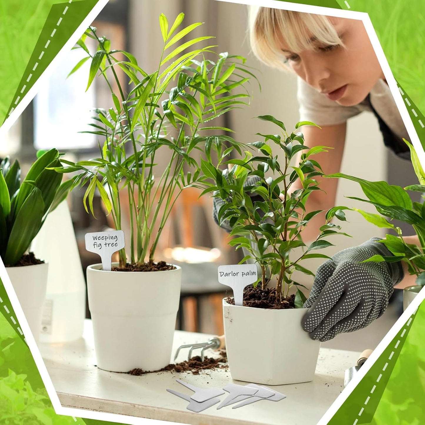 Hicarer 24 Pcs Durable Metal Plant Labels Christmas Gift Weatherproof Garden Markers Engraving Stainless Steel 304 T-Type Reusable Plant Tags for Gardeners Outdoor Greenhouse Vegetables(4x2.4 Inch)-VerdiqueGarden