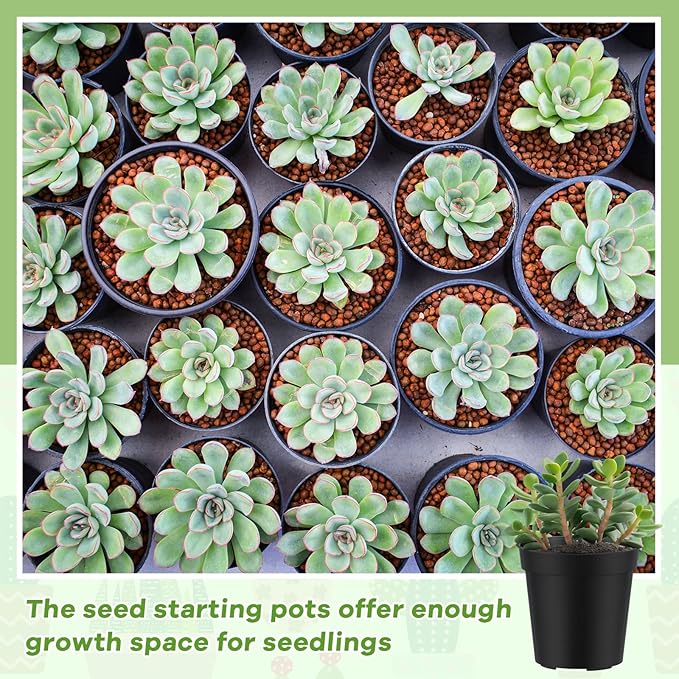 Yaomiao 200 Pcs 2 Inch Black Mini Plastic Plant Pot Nursery Seedling Pots Seed Starter with Drainage Holes for Indoor Outdoor Garden Succulent Plants Cuttings Transplanting-VerdiqueGarden