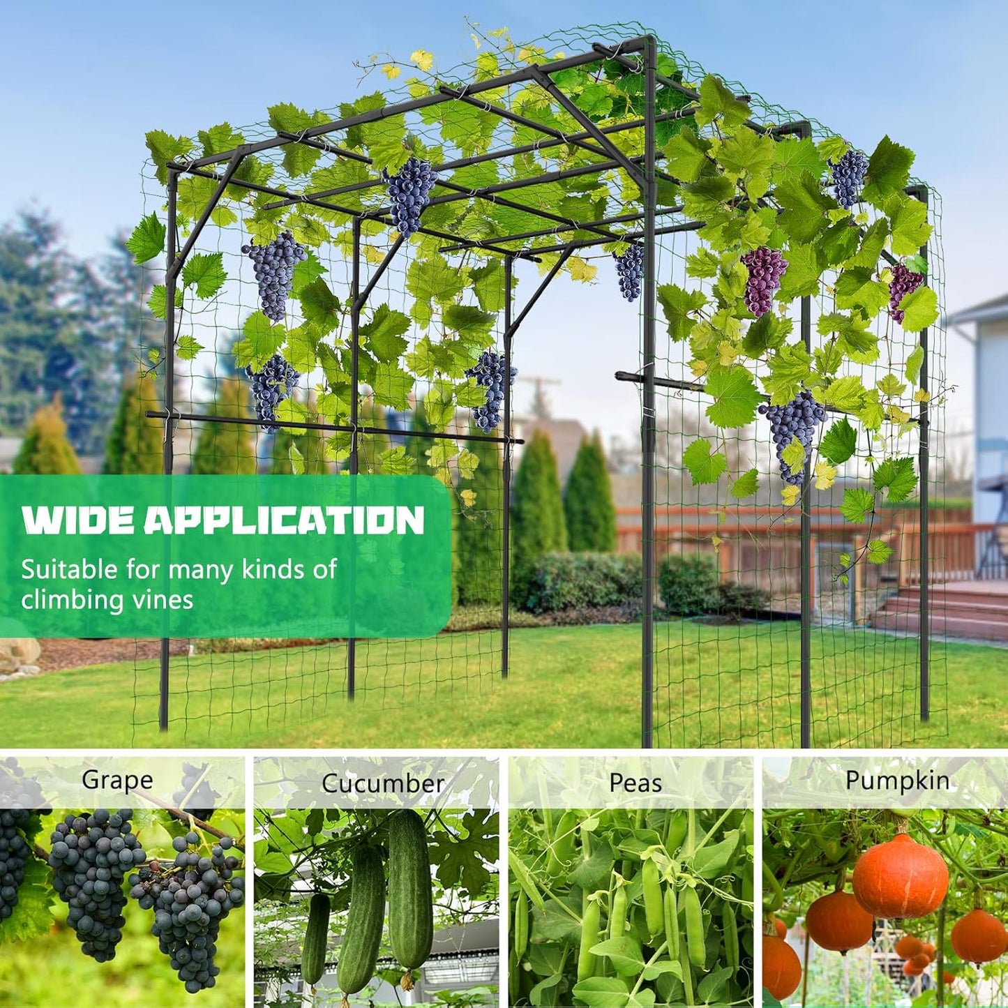 DoCred Tall Garden Arch Trellis for Climbing Plants, 79in Tall Metal Plant Support Trellis Archway for Climbing Vine Vegetable/Fruit/Flower Outdoor Yard Lawn Garden Arch Tunnel Trellis-VerdiqueGarden