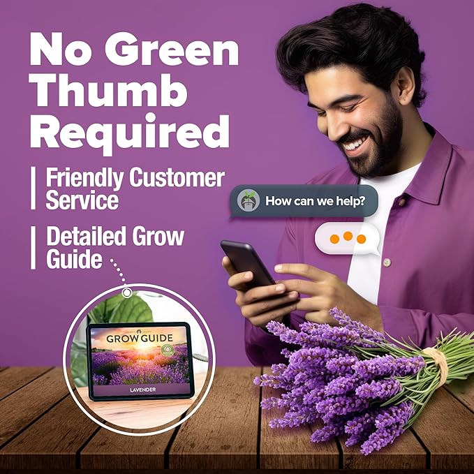 HOME GROWN π¨π¦π π£π₯ππ ππ¨π English Lavender Seeds 2 Pack 3000 π‘π’π‘-ππ π’ Wildflower Seed, for Planting Indoor Outdoor High Germination Flower Seeds (Lavandula antustifolia)-VerdiqueGarden