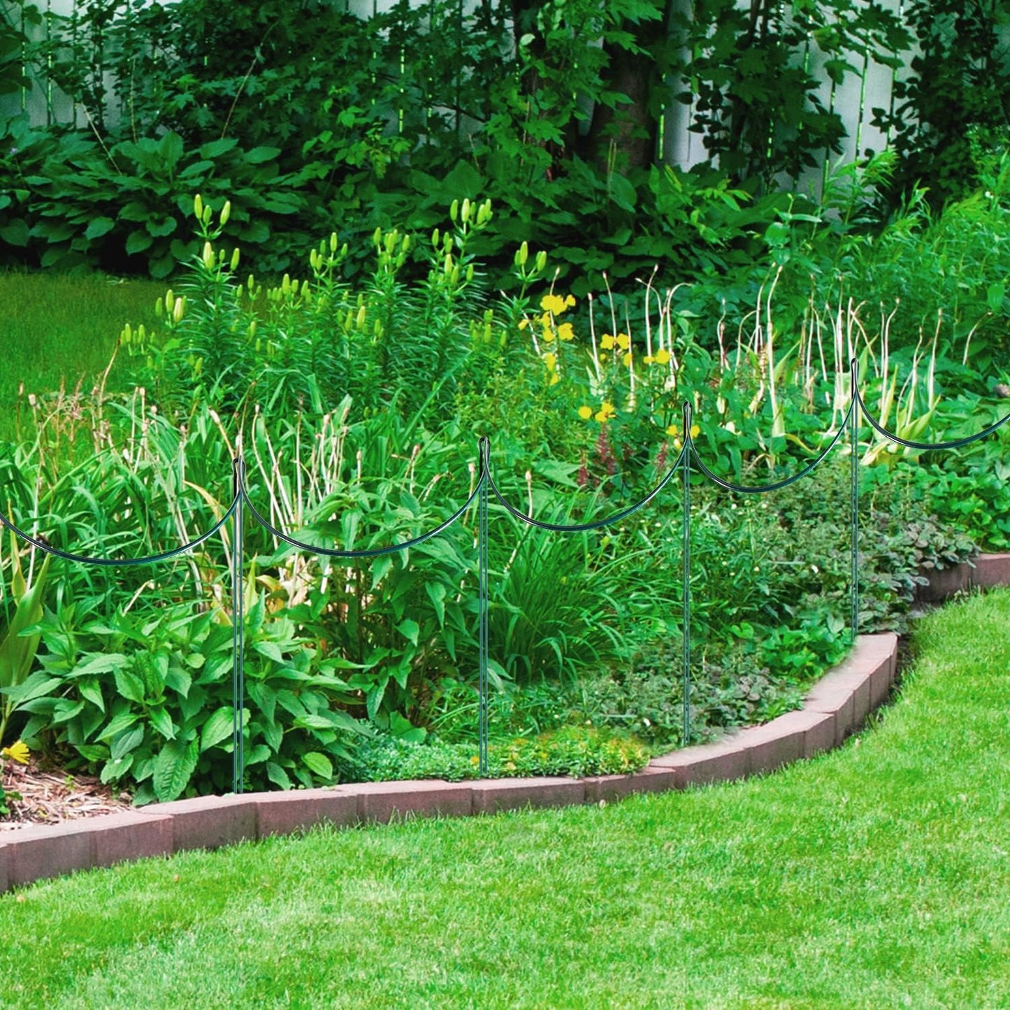 24 Pack Plant Support Stake, Half Round Metal Garden Plant Stake, Green Plant Support Ring, Border Support with Plant Lables & Plant Clips for Outdoor Indoor Plants, Vegetable, Flowers-VerdiqueGarden