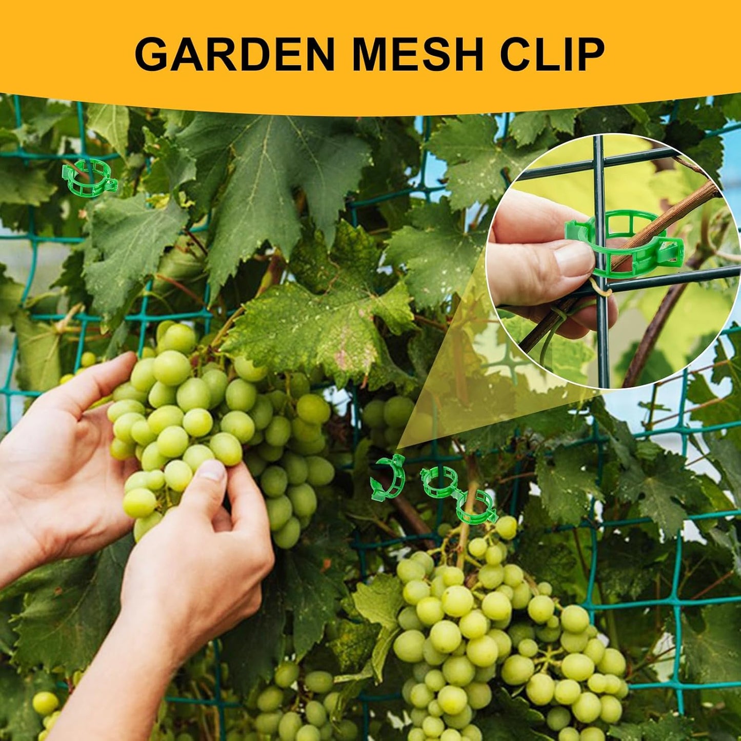 200Pcs Secured Plant Support Clips - Tomato Clips for String Trellis, Grape Vine Grid Clamp for Garden Netting Climbing Plants, Fixing Stem and Vine (Green)-VerdiqueGarden