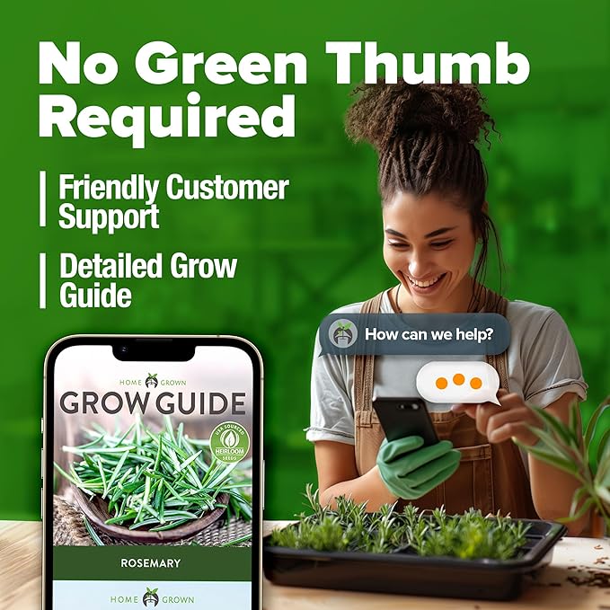 HOME GROWN Rosemary Seeds Pack - 300 High Germinating π‘π’π‘-ππ π’, π¨π¦π-π¦π’π¨π₯πππ Heirloom Herb Seeds for Planting in Indoor or Outdoor Herb Gardens (Salvia rosmarinus)-VerdiqueGarden