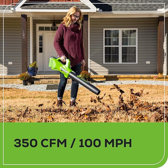Greenworks 40V 13-Inch Cordless String Trimmer/Edger and Leaf Blower Combo Kit + 3 Bonus Spools, 2.0Ah Battery and Charger Included-VerdiqueGarden