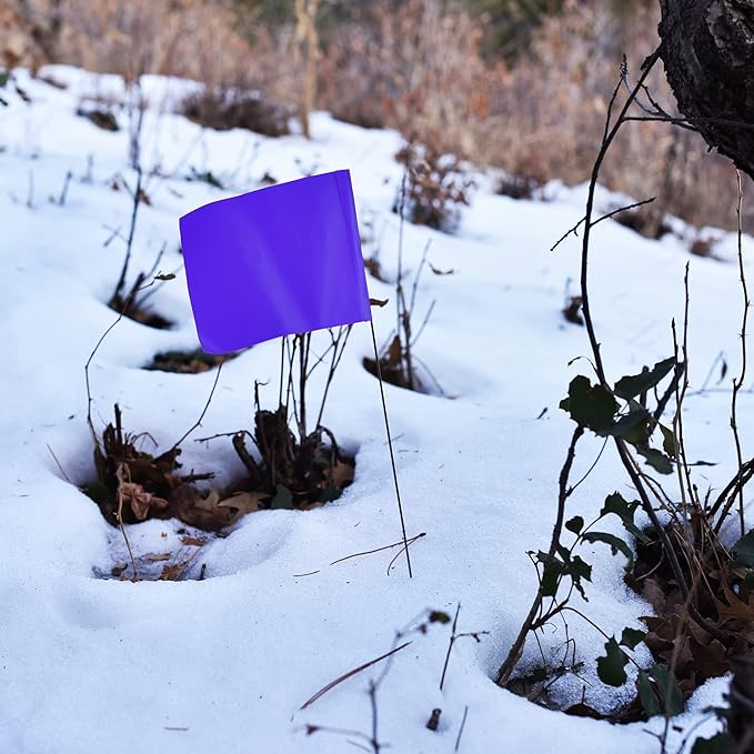 Purple Marking Flags 1000 Pack - 4x5x15 Inch Purple Flags for Outside - Markers For Lawn, Irrigation, Landscaping, Survey & Sprinkler Head Marking-VerdiqueGarden