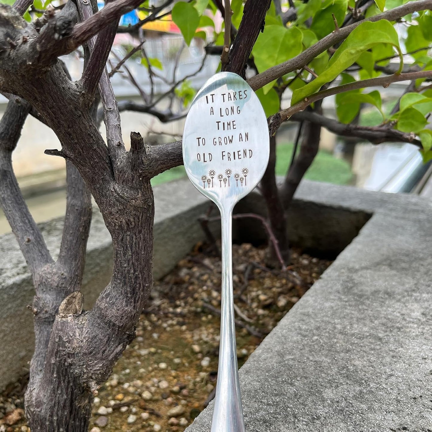 Garden Marker Plant Marker Friendship Plant Gift Garden Label-VerdiqueGarden