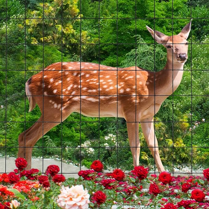 Black PVC Coated Welded Wire Fence 24 Inch x 50 Foot, 2 Inch x 3 Inch 16GA, Garden Border Fencing Roll Vinyl Coating Metal Wire Mesh for Yard Vegetable Plant Protection Poultry Netting-VerdiqueGarden