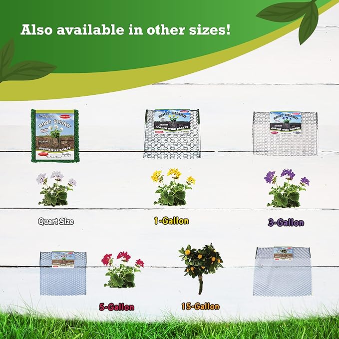 Digger’s 1-Gallon Heavy-Duty Wire Basket - Gopher Wire Basket for Perennials & Vegetables (12 Baskets)-VerdiqueGarden