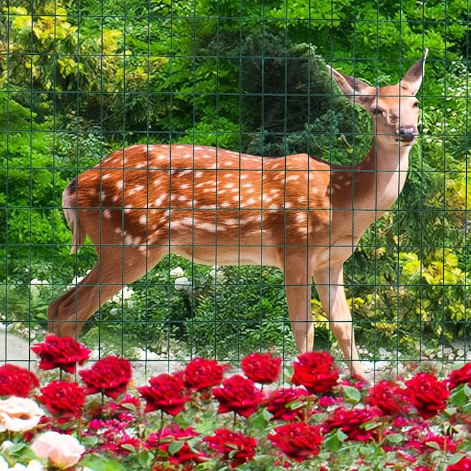 Green PVC Coated Welded Wire Fence 36 Inch x 50 Foot, 2 Inch x 3 Inch 16GA, Garden Border Fencing Roll Vinyl Coating Metal Wire Mesh for Yard Vegetable Plant Protection Poultry Netting-VerdiqueGarden