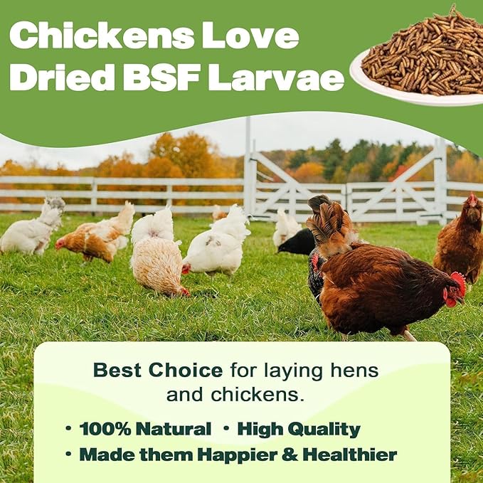 20LB Dried Black Soldier Fly Larvae, 86X Calcium Than Dried Mealworms, High Protein Non-GMO Organic Chicken Feed-VerdiqueGarden