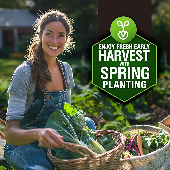 HOME GROWN 6000 Vegetable Seeds for Planting: 12 Spring Varieties of Garden Vegetables in Seed Packets, Garden Seeds for Garden Plants or Hydroponic Seeds - Heirloom Seeds - Non GMO-VerdiqueGarden