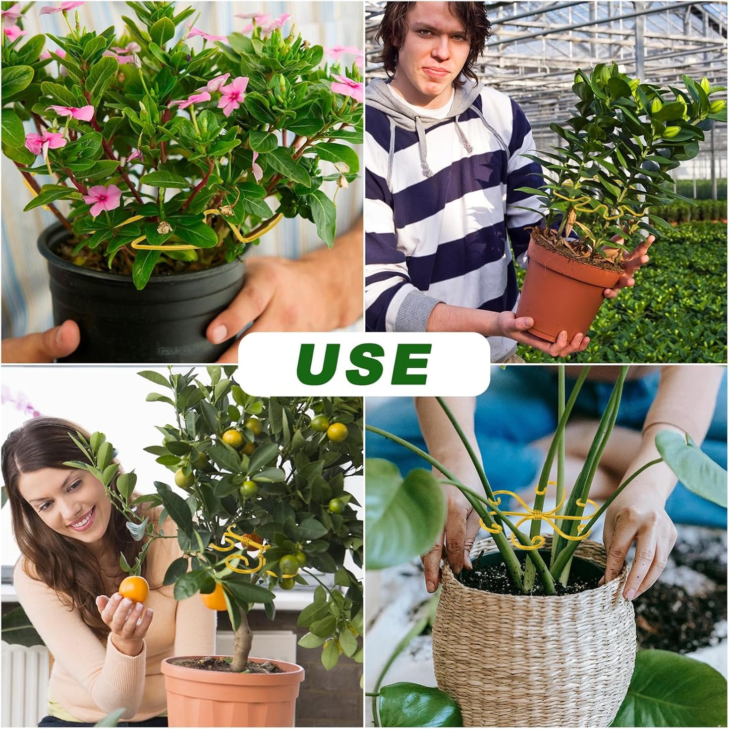 4 Pcs Metal Plant Stem Support Holder Monstera Plant Support Monstera Stabilizer for Outdoor & Indoor Growing Climbing Plants Stabilization and Support-VerdiqueGarden