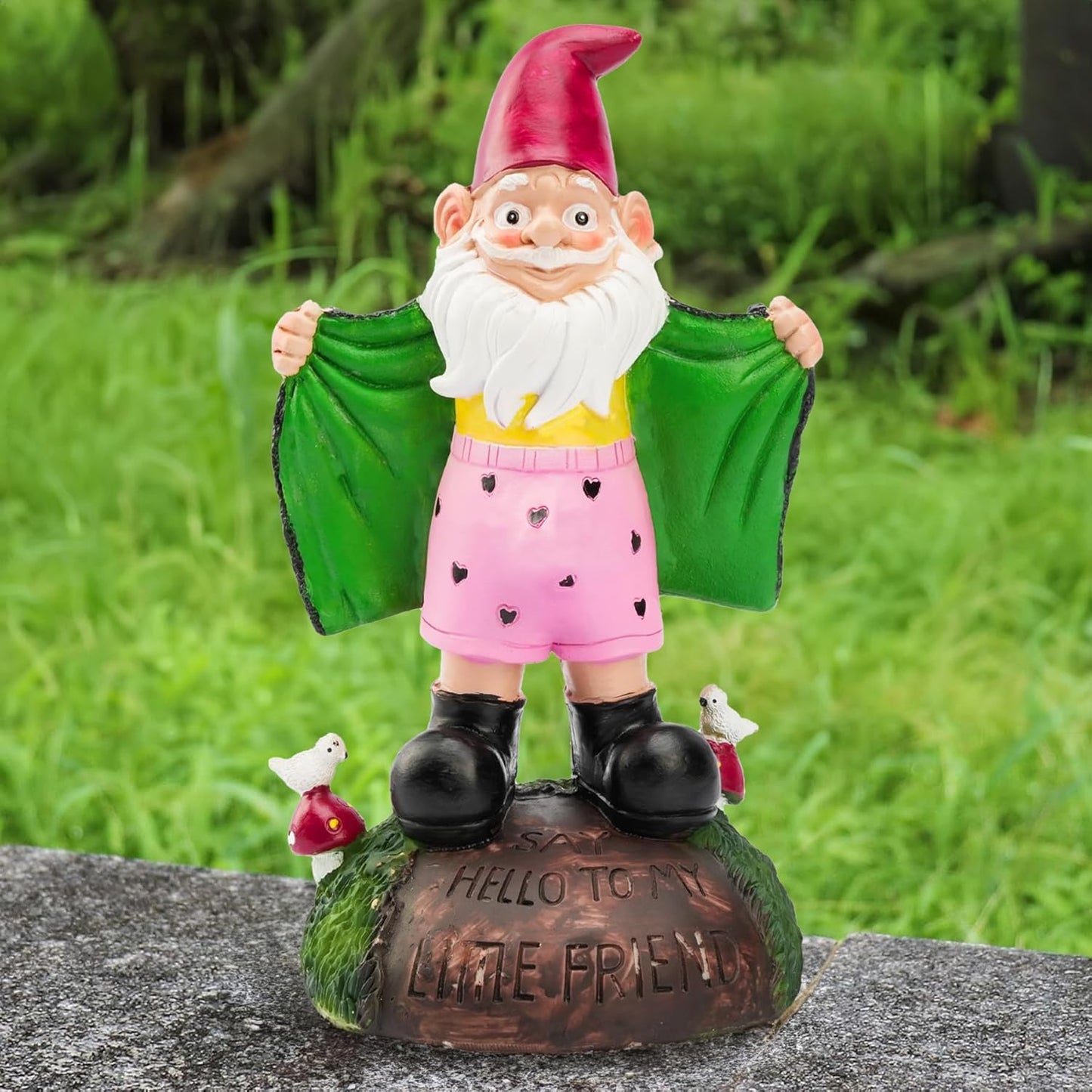 Garden Gnome Statue, Humor Gnome Decor, Animal Resin Sculptures, Statue Ornaments for Outdoor, Home Garden Decor Accents, Lawn Ornaments-VerdiqueGarden