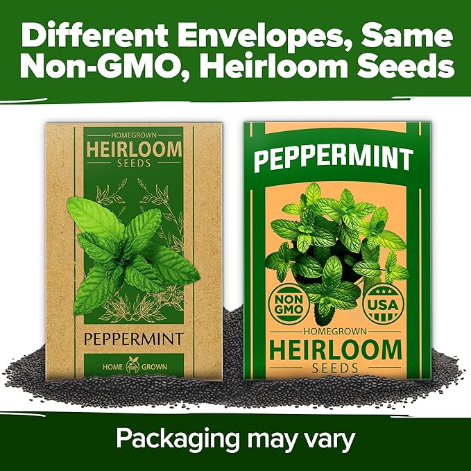 HOME GROWN Peppermint Seeds 2 Pack (Mentha × piperita) – 4,740 Heirloom Mint Seeds for Planting – 𝗡𝗢𝗡-𝗚𝗠𝗢, 𝗨𝗦𝗔-𝗦𝗢𝗨𝗥𝗖𝗘𝗗 – Grow Indoors or Outdoors, Kitchen Herb Garden Favorite-VerdiqueGarden
