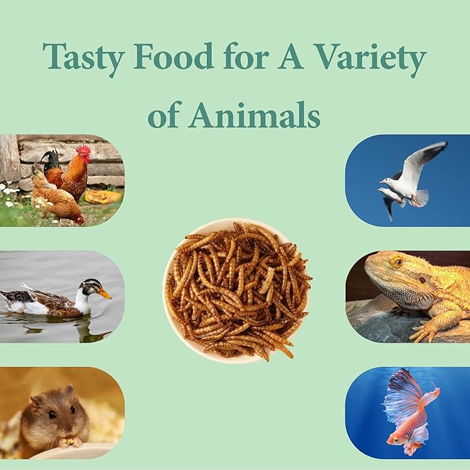 2LB Dried Mealworms for Poultry, Wild Birds,Tasty Bird Food-VerdiqueGarden