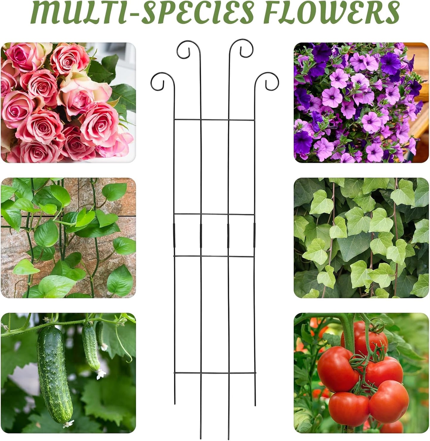 4 Pack 32'' Wave Shape Black Metal Trellis for Climbing Plants Indoor & Outdoor, Garden Trellis for Houseplants Flowers Vine Ivy-VerdiqueGarden