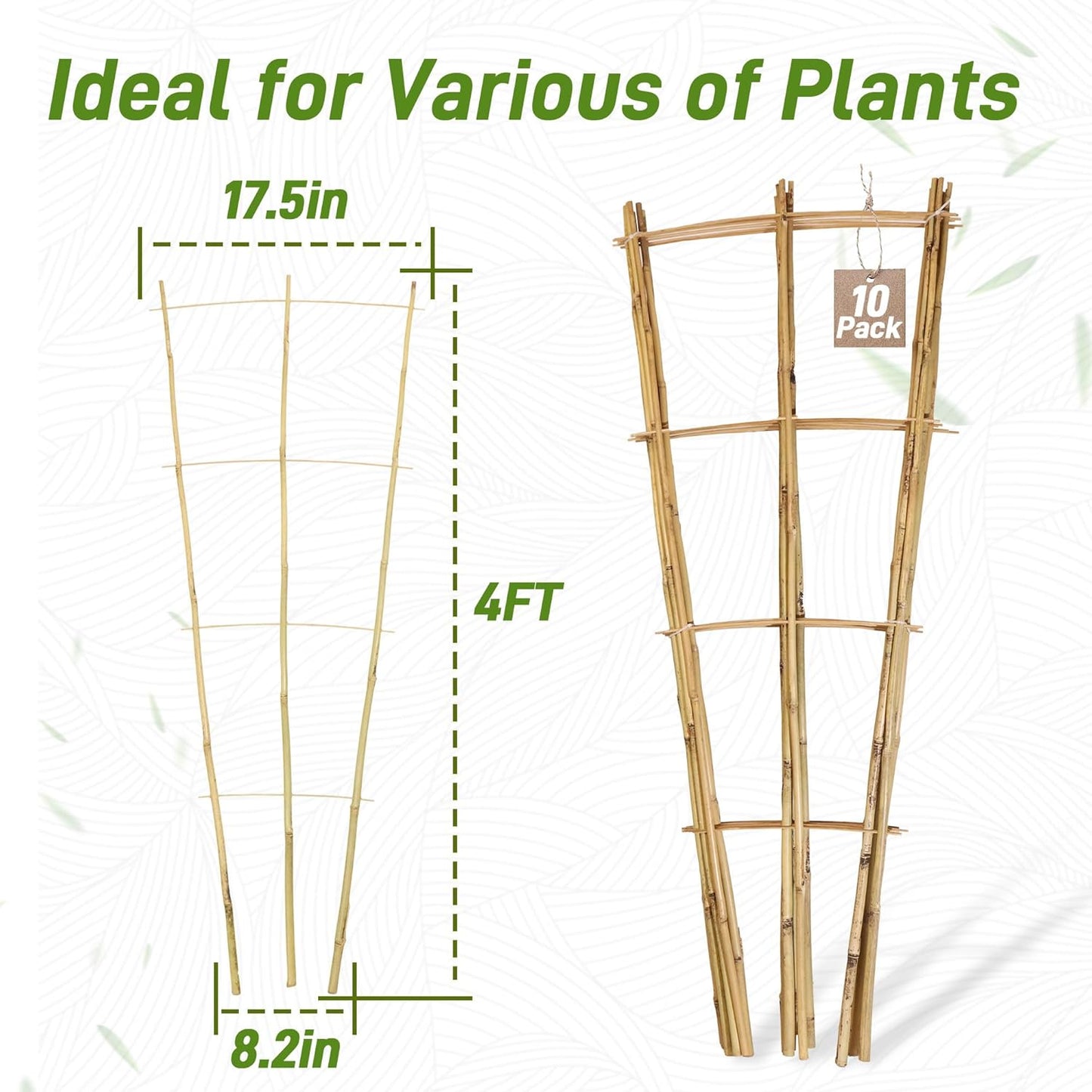 Avalution 10 Pack Bamboo Trellis for Climbing Plants, 4 FT Garden Ladder Trellis for Potted Plants Indoor, Fan-Shaped Small Plant Support Trellis for Houseplants Ivy Hoya Vine Monstera-VerdiqueGarden
