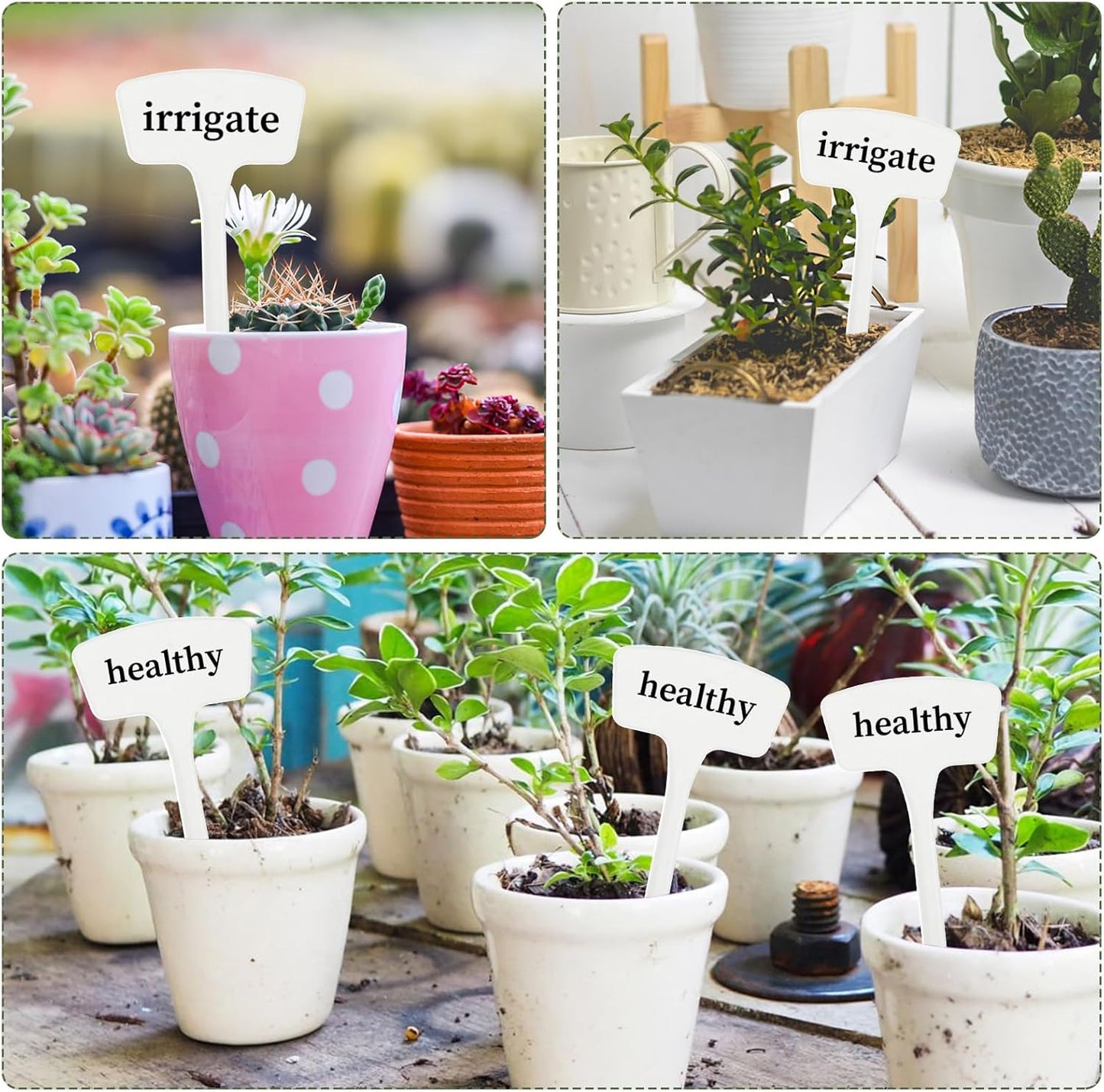 100 Pcs Plant Labels,T-Type 10.63inch Large Plastic Plant Tags Waterproof Plant Makers Nursery Garden Labels for Outdoor Indoor Plants Herbs Flowers Vegetable Potted Belt Marker Pen (White)-VerdiqueGarden