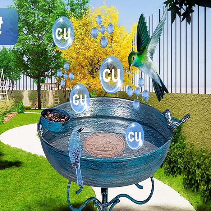 4-Pack 99.99% Pure Copper Bird Bath Purification Disk,Copper Disc with Stable Triple-Point Support,Fits All Outdoor Bird Baths(Round)-VerdiqueGarden