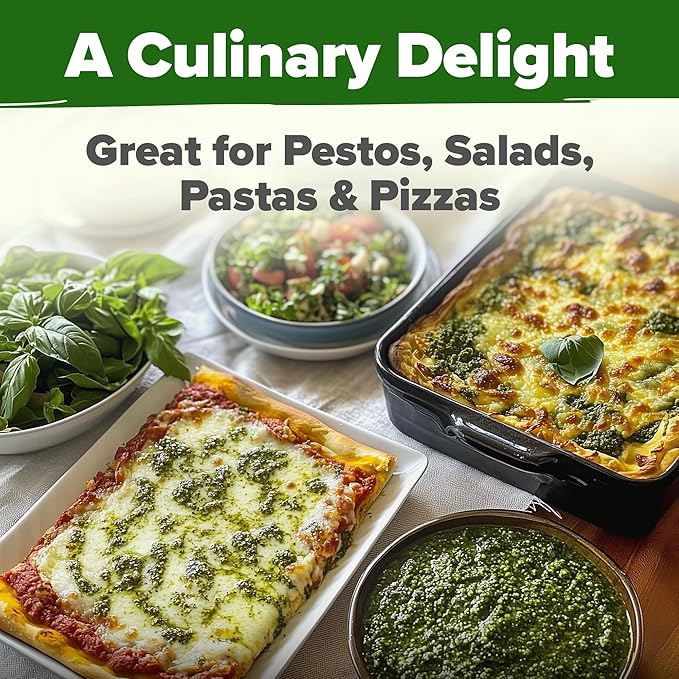 HOME GROWN π¨π¦π π£π₯ππ ππ¨π Italian Basil Seeds Bulk Pack 1,424 Sweet Large Leaf Basil Seeds for Planting π‘π’π‘-ππ π’ and Heirloom Herb Seeds for Planting Indoors or Outdoors (Ocimum basilicum)-VerdiqueGarden