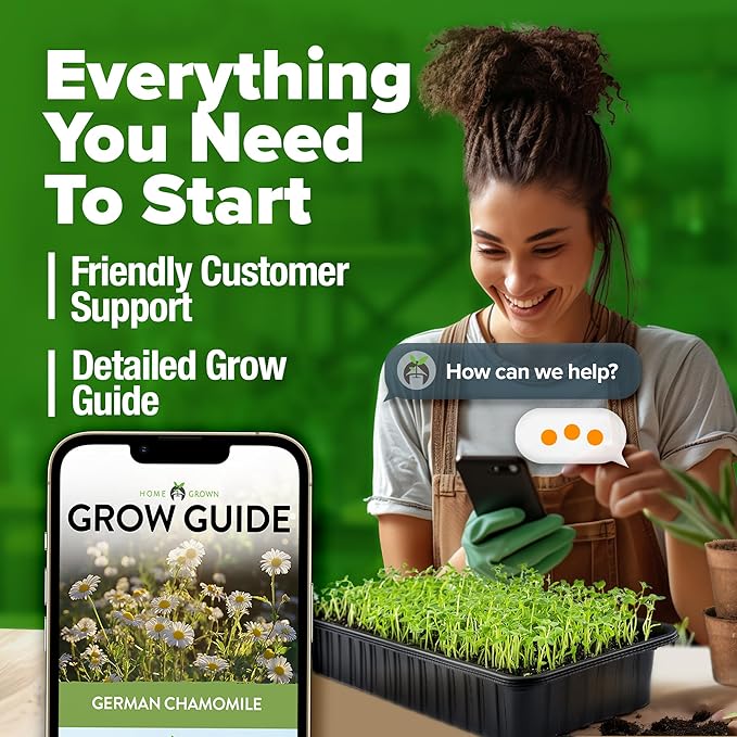 HOME GROWN π¨π¦π π£π₯ππ ππ¨π German Chamomile Seed Pack β 2,280 π‘π’π‘-ππ π’ Heirloom Seeds for Planting for Sustainable Gardens and Soothing Medicinal Herbal Teas (Matricaria chamomilla)-VerdiqueGarden