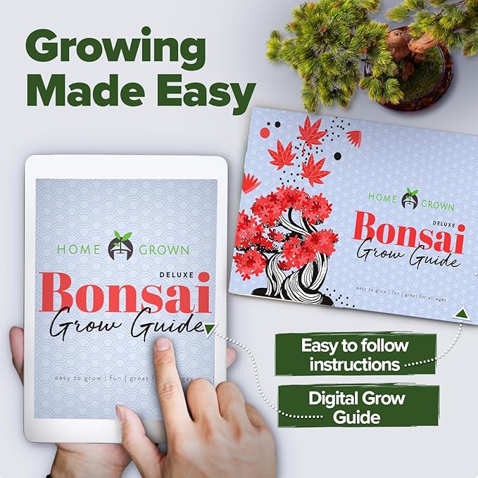 HOME GROWN Bonsai Tree Kit - Premium Ceramic Starter Kit - 4 Variety of Bonsai - Unique Gift for Men and Women Gardeners-VerdiqueGarden