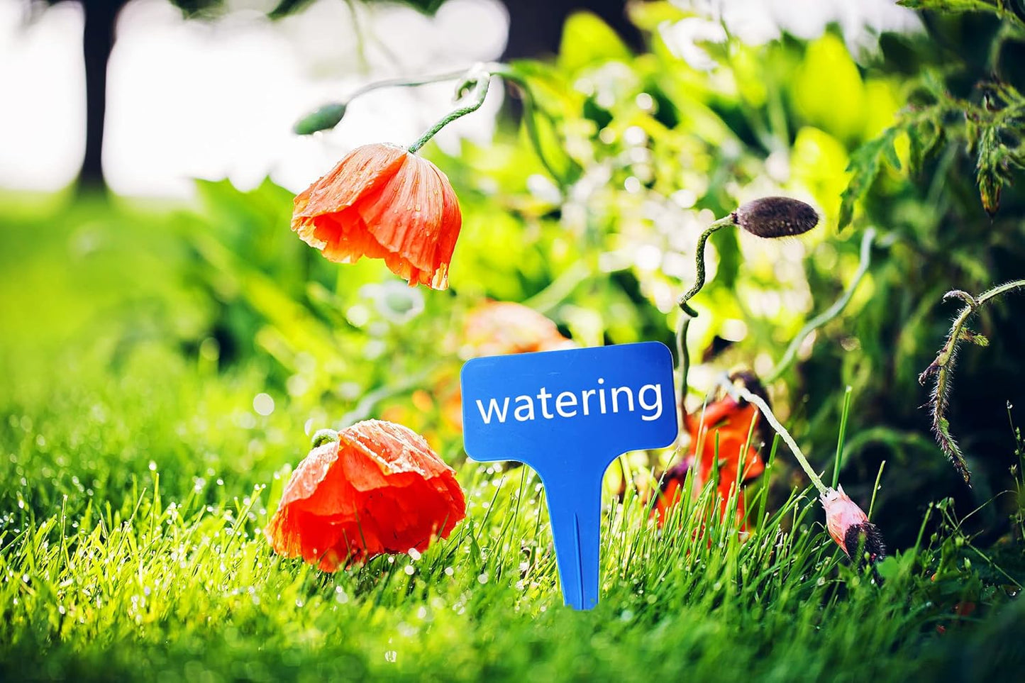 Blue Thick Plant Garden Labels, Plastic T-Type Nursery Markers Tags(100 Pcs)-VerdiqueGarden