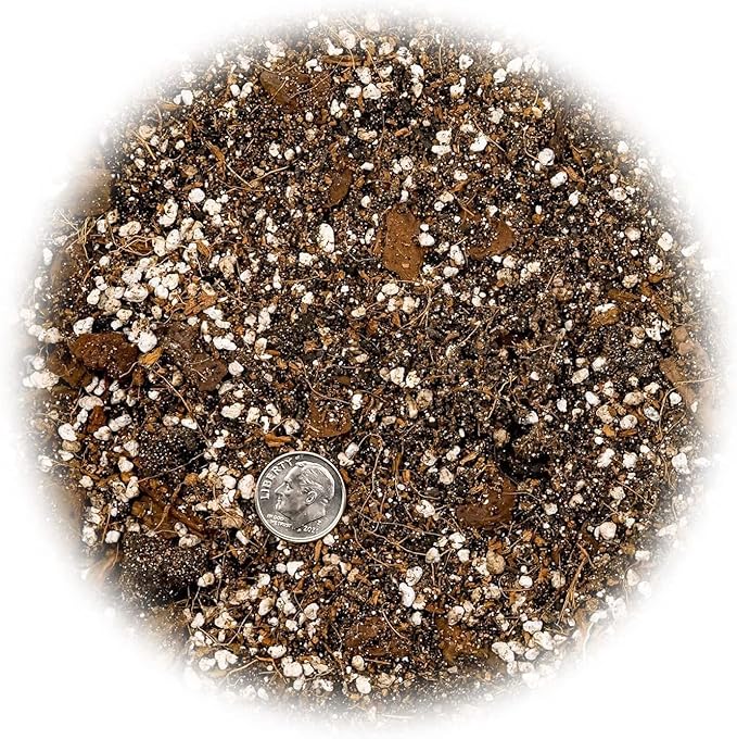 Premium Spider Plant Potting Soil Mix - (4 Quart Bag)-VerdiqueGarden