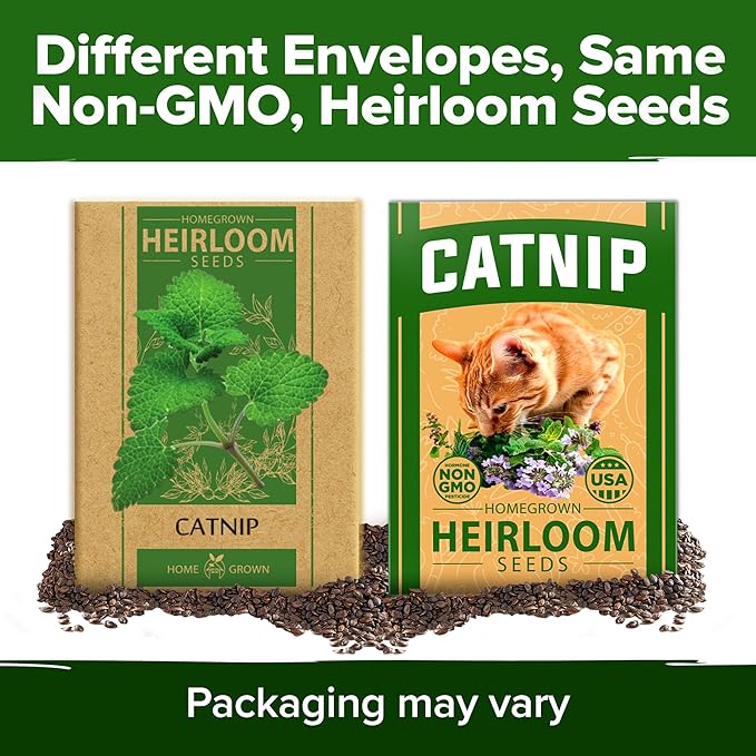 HOME GROWN π¨π¦π π£π₯ππ ππ¨π Catnip Seeds (Bulk Pack) π‘π’π‘-ππ π’ Heirloom Herb 2,116 Seeds - Indoor or Outdoor Seed - High-Germination Cat Nip - Cat Safe Plants (Nepeta cataria)-VerdiqueGarden