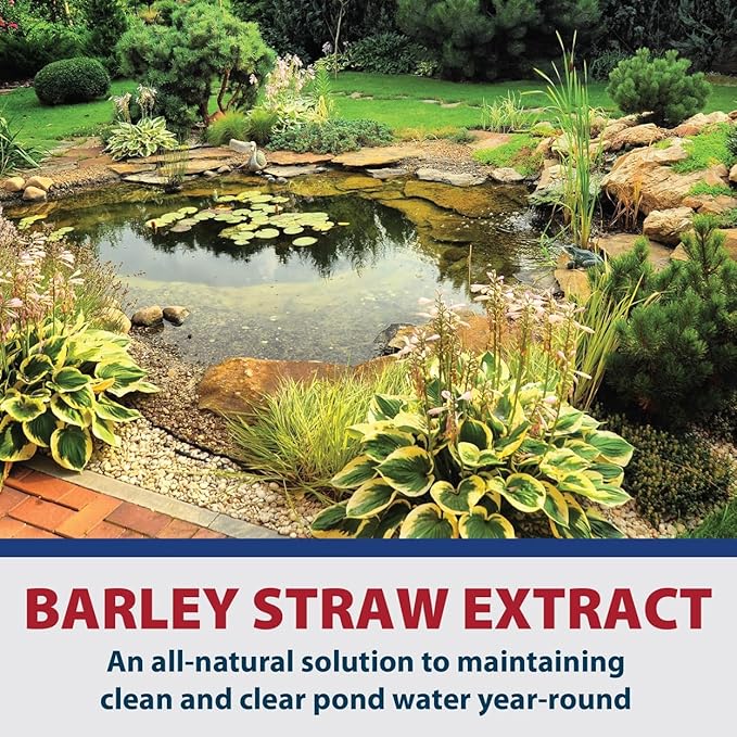 The Pond Guy Barley Extract Natural Liquid Treatment for Ponds and Water Gardens, Safe for Koi Fish and Plants, Natural Solutions for Clear Pond Water - 16 Ounces-VerdiqueGarden