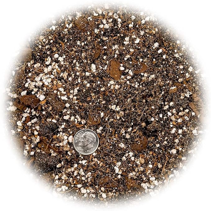 Premium Spider Plant Potting Soil Mix (4 Bags of 5 Quart)-VerdiqueGarden