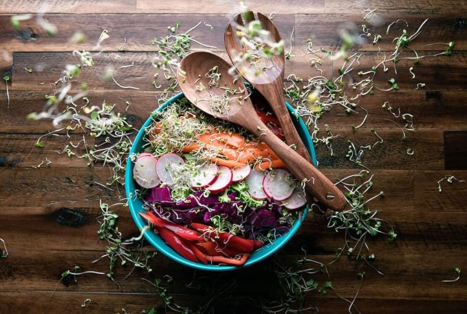 Broccoli Seeds for Sprouting & Microgreens | Waltham 29 Variety | Non GMO & Heirloom Seeds | Bulk 1 LB (16 oz) Resealable Bag | Rainbow Heirloom Seed Co.-VerdiqueGarden