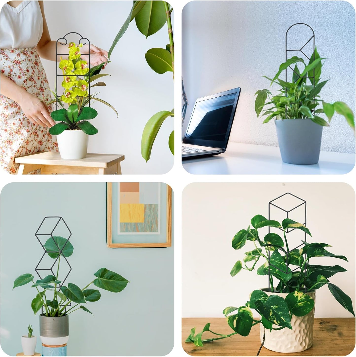 16 Inch Plant Trellis Indoor for Potted Plants 4 Pack Indoor Plant Trellis for Climbing Plants Houseplant Trellis Metal Garden Pot Trellis for Vine Ivy Support(16inch Black)-VerdiqueGarden
