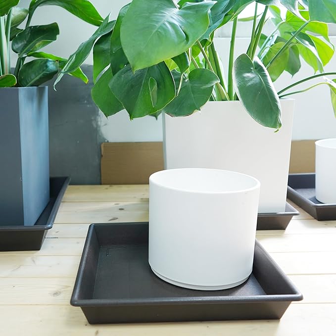 Square Plant Saucer 12 Inch 5 Pack, Plant Stand Plant Trays for Pots Heavy Duty Plastic Plant Saucers for Indoors Outdoors, Flower Pot No Holes Plant Lover Gardening Gifts-VerdiqueGarden