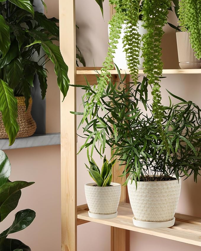 Plant Pots, Flower Pots, Planters for Indoor Plants(6.5+5.5inch), Flower Pots for Indoor Plants with Drainage Hole and Saucer, Ceramic Pots for Plants with Hole Mesh Pad,Reactive Glaze White-VerdiqueGarden