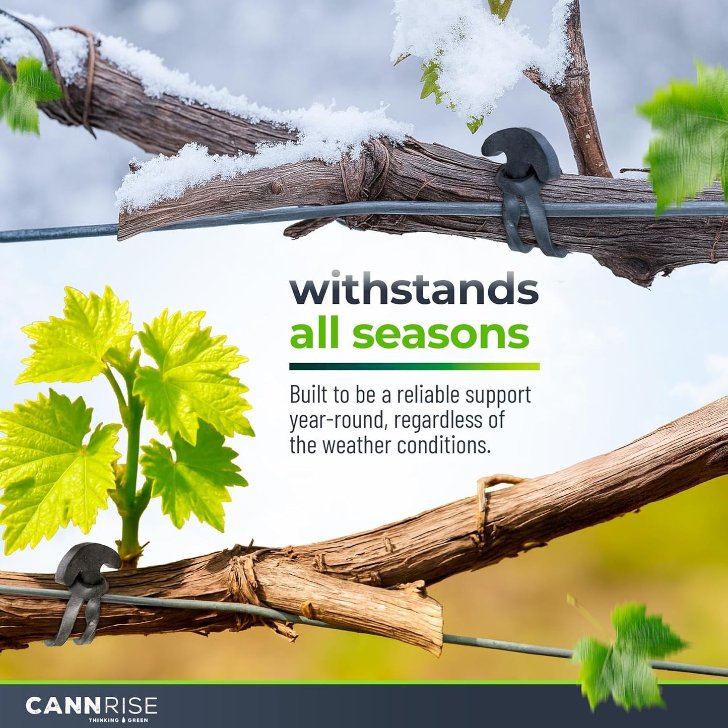 Anchor Rubber Bands for Trellising – 33 Pack of 12 cm/4.72 inches Rubber Bands for Outdoor Plant Support, Climbing Plants, Grape Vines, Trees – UV-Protected, Elastic, Multi-Purpose Use-VerdiqueGarden