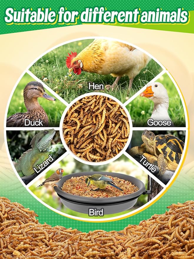 Mealworms Chicken Treats 2 Lbs with Handle Packing, High-Protein Promote Egg Production, Natural Chicken Feed for Laying Hens Wild Birds Ducks-VerdiqueGarden