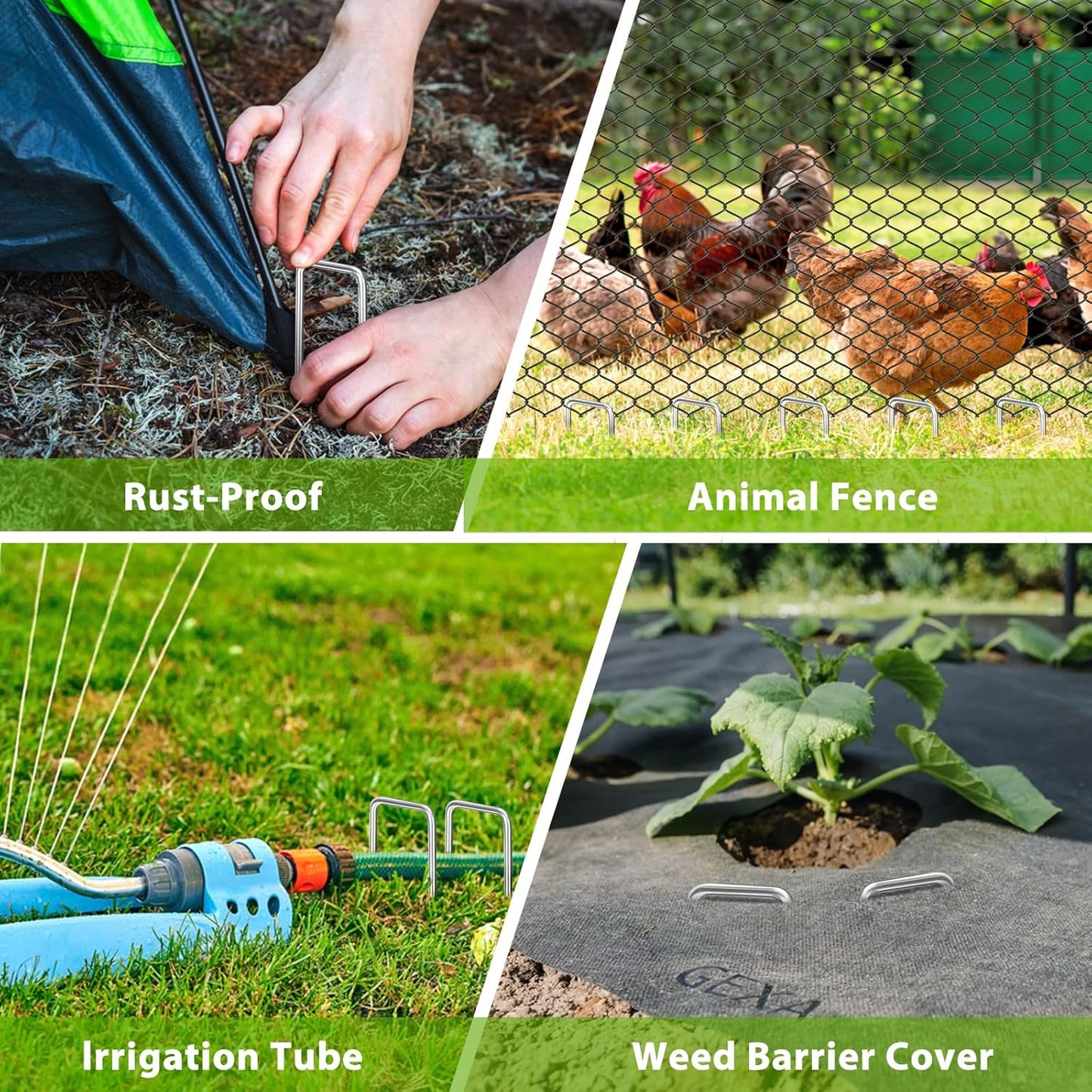 Landscape Staples 12 Inch, 50 Pack 8 Gauge Galvanized Garden Staples U-Shaped Landscape Stakes, Heavy Duty Ground Stakes for Outdoor Decorations, Weed Barrier Fabric, Irigation Tubing, Tent-VerdiqueGarden