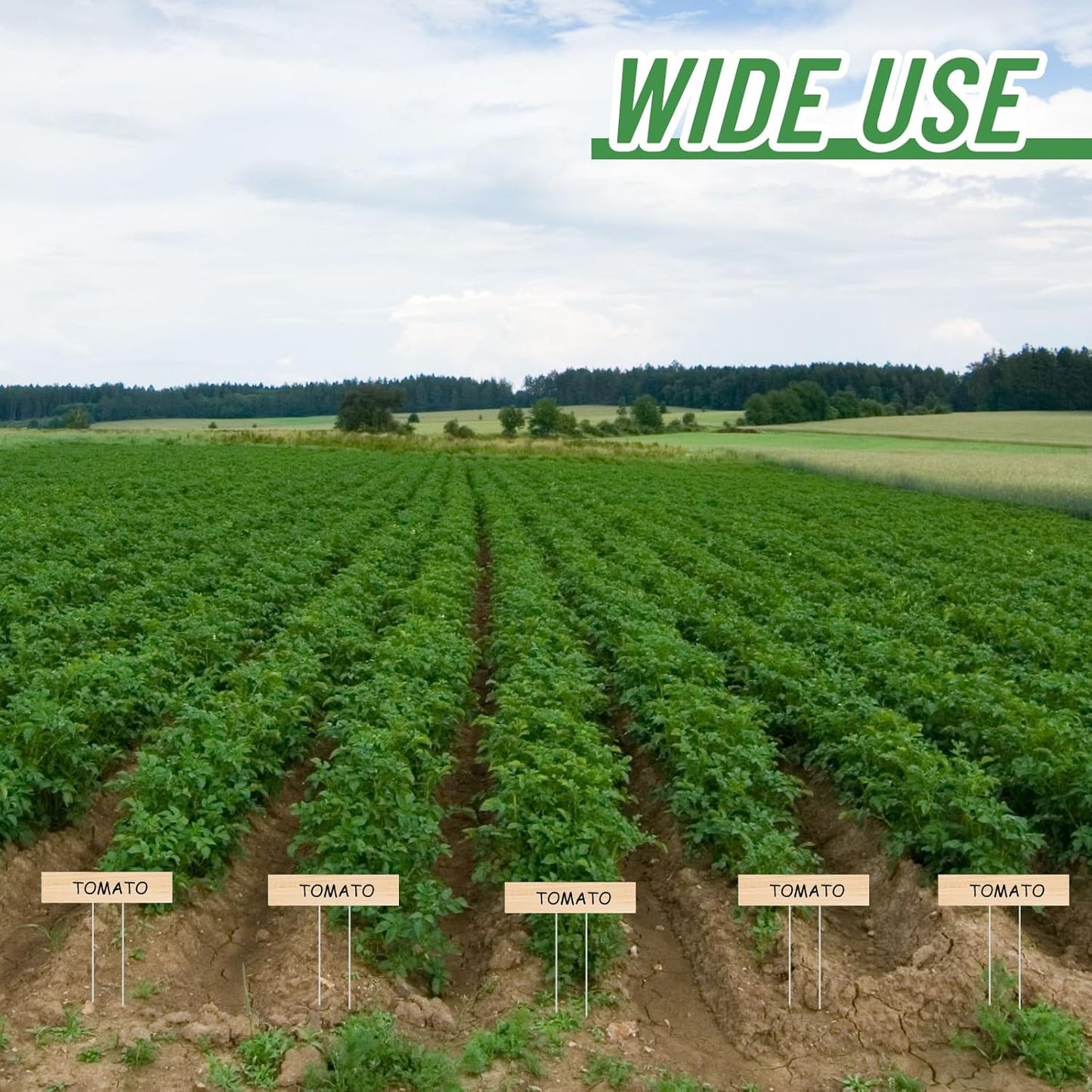 10 Set Jumbo Outdoor Plant Label Stakes Waterproof Nursery Garden Markers Plastic T Type Plant Tag Identification Stake with Marker Pen for Herb Vegetable Flowers, 12" High(Wood Color)-VerdiqueGarden