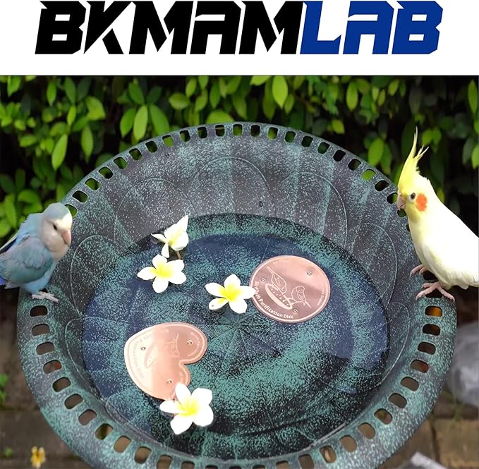 2-Pack 99.99% Pure Copper Bird Bath Purification Disk,Copper Disc with Stable Triple-Point Support,Fits All Outdoor Bird Baths(Heart-Shaped&Round)-VerdiqueGarden